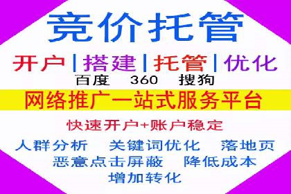 深度解析：SEM竞价优化提升ROI的案例
